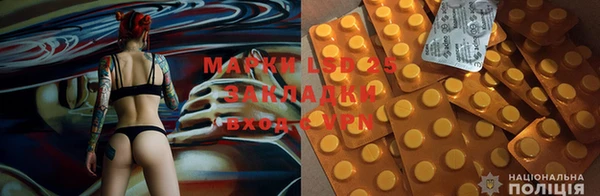 крисы Няндома