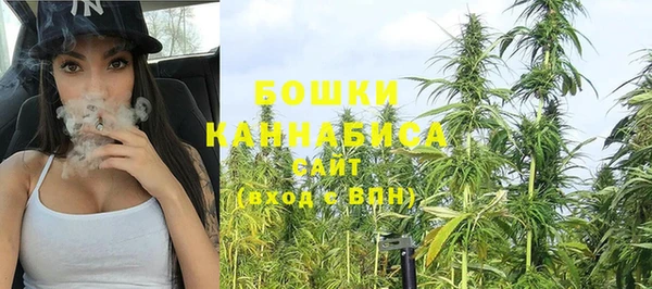 крисы Няндома