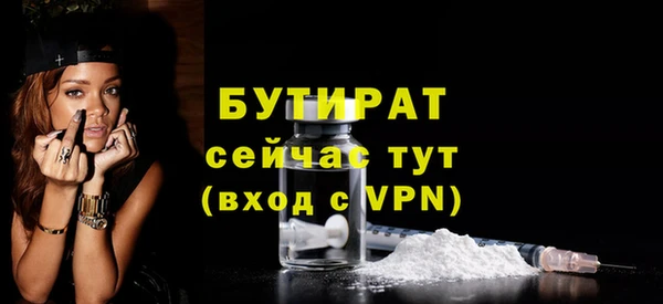 крисы Няндома