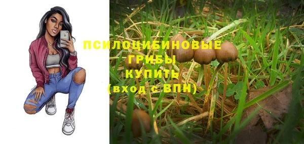 шишки Нязепетровск