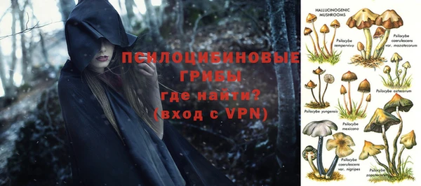 ALPHA-PVP Нягань
