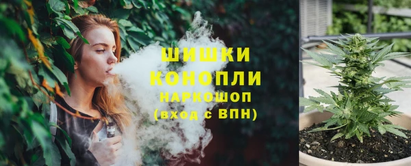 крисы Няндома