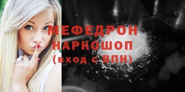 крисы Няндома