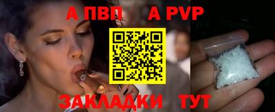 шишки Заводоуковск