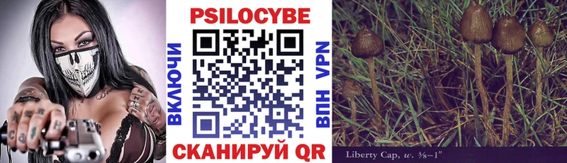 Псилоцибиновые грибы GOLDEN TEACHER  купить наркотики сайты  Стерлитамак 
