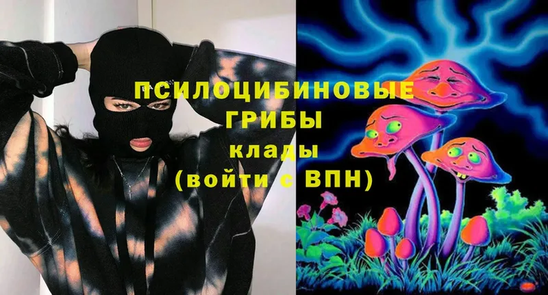 Галлюциногенные грибы Magic Shrooms  купить закладку  omg как войти  Стерлитамак 