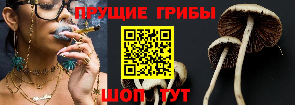 Стерлитамак  Галлюциногенные грибы Psilocybe  Псилоцибиновые грибы GOLDEN TEACHER  Вход с VPN 