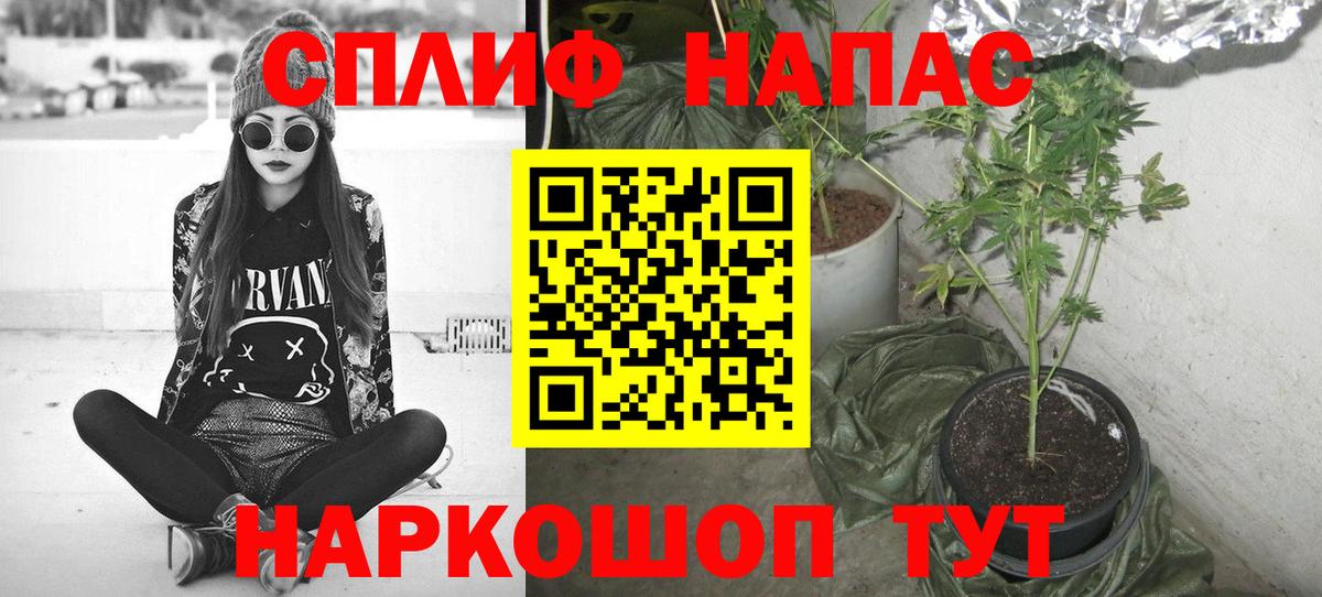 Бошки марихуана семена  Конопля конопля  Вход с VPN  Стерлитамак  Шишки марихуана AK-47  Канабис конопля 